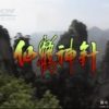 Tiên Hạc Thần Trâm 1992 (01->10)