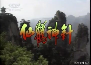 Tiên Hạc Thần Trâm 1992 (21->30 End)
